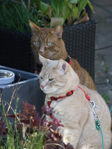 FB_IMG_1589703277895-2