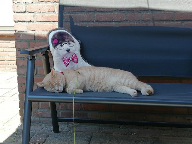 IMG_20200626_140921-2