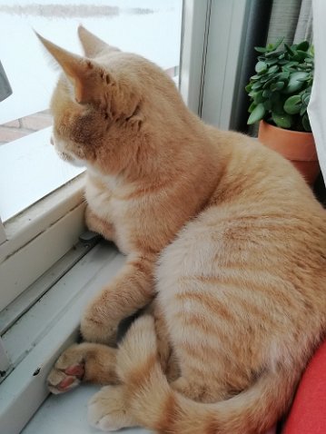 IMG_20201004_125914-1