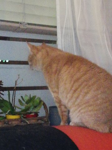 IMG_20201013_204851-2