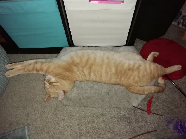 IMG_20201026_214148-1