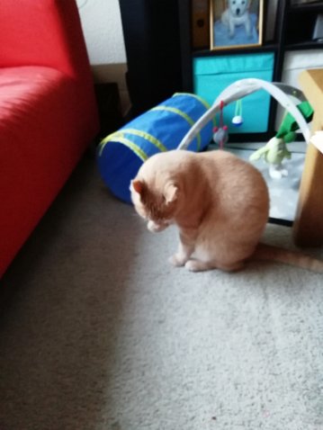 IMG_20210311_174025 - kopie-1