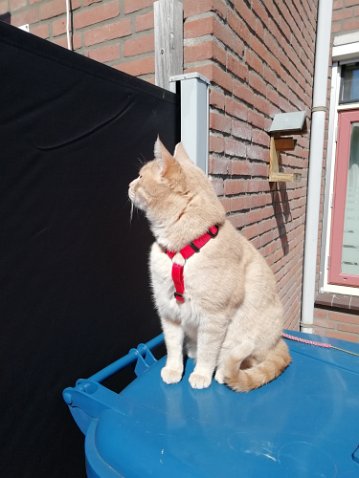 IMG_20210427_115909-1