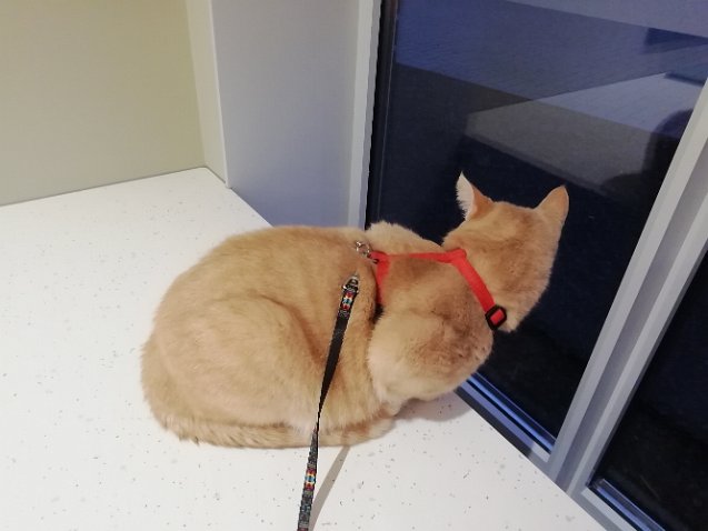 IMG_20220119_170553-1