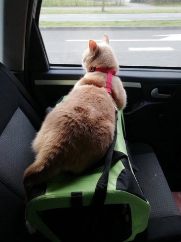 IMG_20220219_105108-1