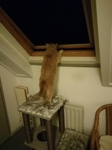 IMG_20220326_000811-1