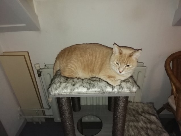 IMG_20220403_080451-1