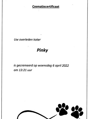 crematiecertificaat-1
